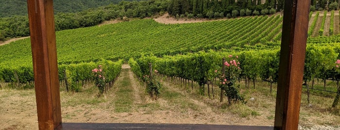 Castello d'Albola is one of Chianti Classico Direct Sales in Wineries.