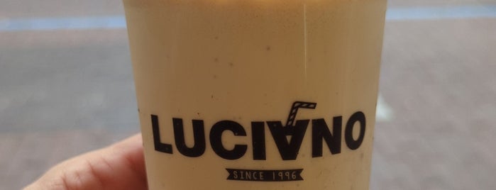 IJssalon Luciano is one of Haarlem's must go places.