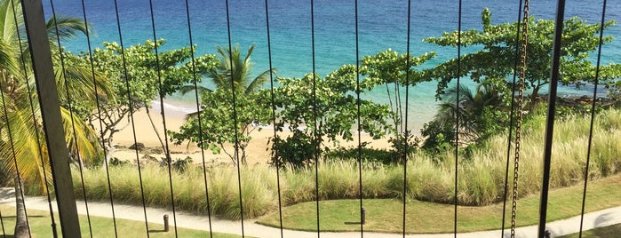 W Retreat & Spa - Vieques Island is one of Stevenson's Favorite World Hotels.