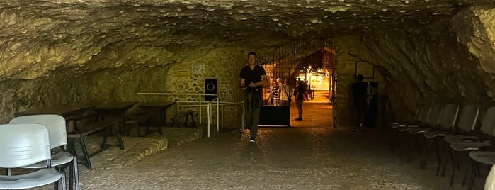 Grotte de Rouffignac is one of France.