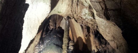 Ledenika Cave is one of 100 национални туристически обекта.