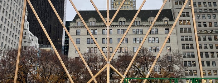 The World's Largest Hanukkah Menorah is one of Central Park.