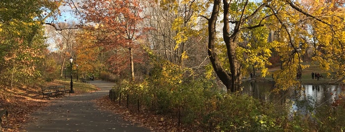 Central Park is one of New York.