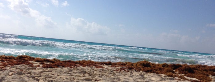 Playa Marlin is one of Cancún.