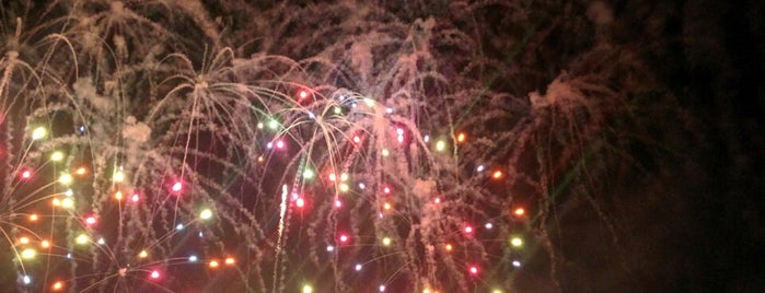Itasca Fireworks is one of Tempat yang Disukai Consta.