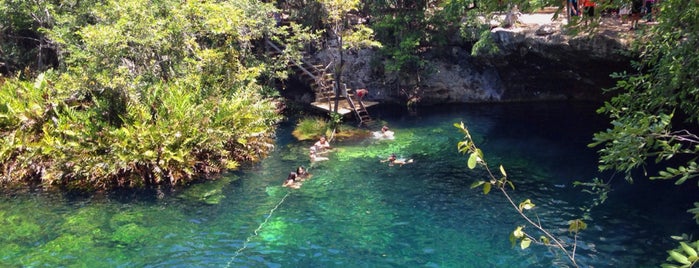 Cenote Jardín del Eden is one of Lieux qui ont plu à Twitter:.