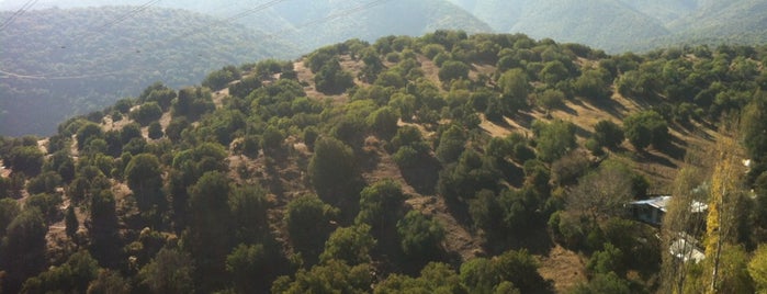 Cal y Canto Downhill Track is one of Lugares favoritos de Mario.