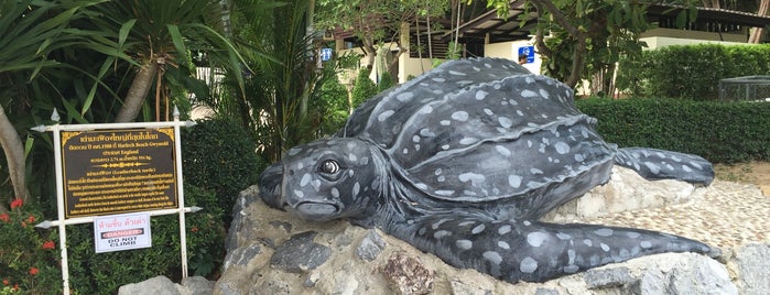 Sea Turtles Exhibition Building is one of พัทยา, เกาะล้าน, บางเสร่, สัตหีบ, แสมสาร.