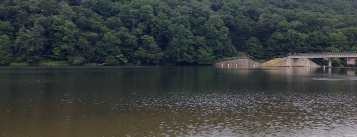 Laurel Hill Lake is one of สถานที่ที่ Shelley ถูกใจ.