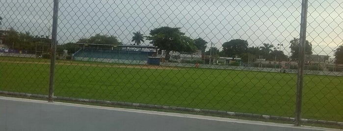 Campo de Béisbol Lázaro Cárdenas is one of Irvin canto.