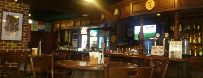 Molly Malone's (Irish Pub) is one of Kimmie's Saved Places.