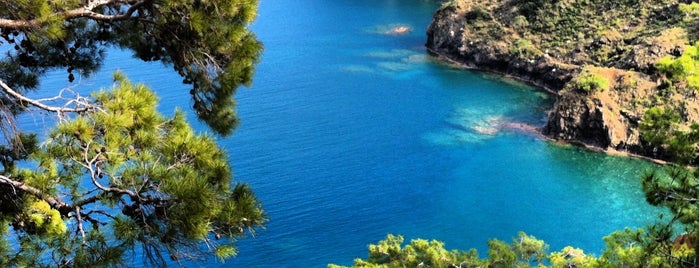 Lycian Way is one of cirali olimpos liste.