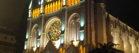 Basilique Notre-Dame is one of Discover Nice (Nizza).