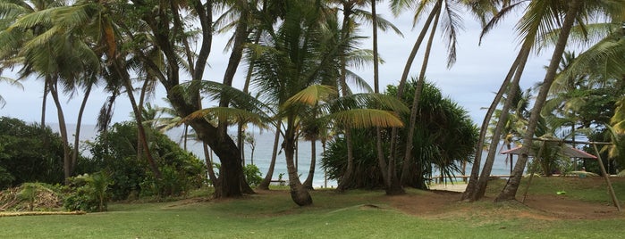 Le Point de Vue is one of Martinique.