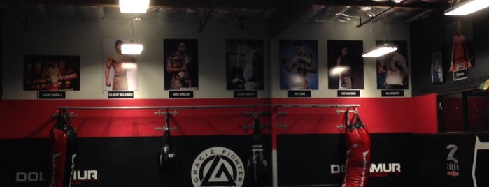 Combat Sports Academy / CSA CrossFit is one of Ed’s Liked Places.