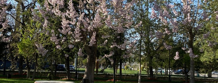 Fıstık Park is one of GAZİANTEP.