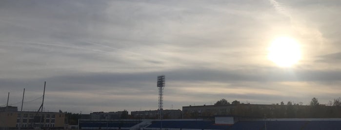 Стадион «Химик» is one of Федя был.