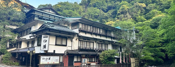 Ichinoyu Honkan is one of 宿泊施設.