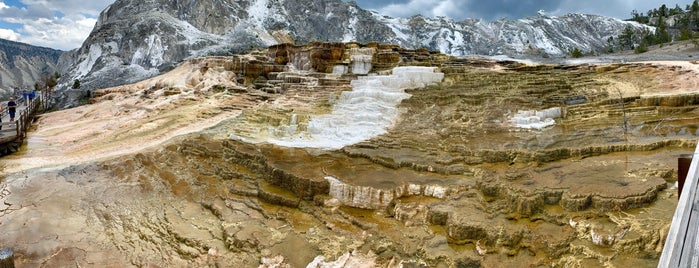 Mammoth Hot Springs is one of David’s Tips.