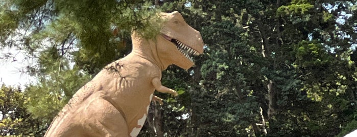 Forest Park Dinosaurs is one of What makes St. Louis AWESOME!!!.