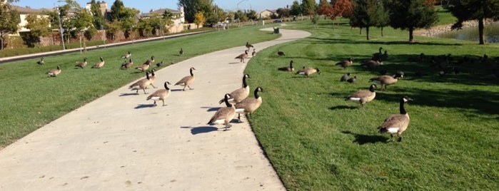 North Natomas Regional Park is one of Locais salvos de Stacy.