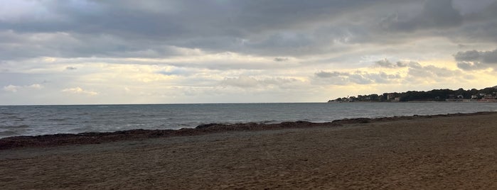 Playa Marineta Cassiana is one of Lugares favoritos de Angel Luis.