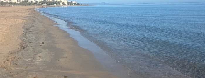 Playa Punta del Raset is one of Playas de Denia.