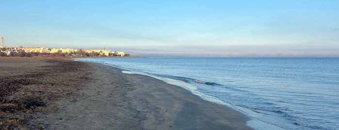 Punta del Raset Beach is one of Playas de Denia.