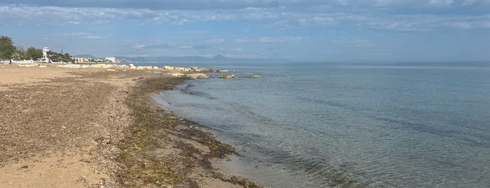 Punta del Raset Beach is one of Spain Trip.