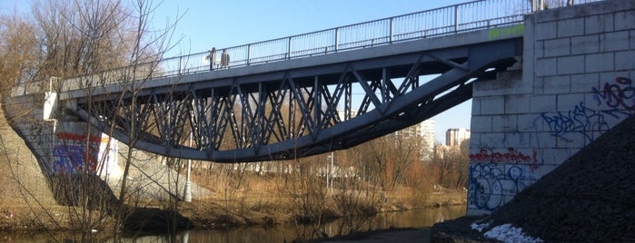 Мост Бывшей Бескудниковской Ветки is one of Мосты.