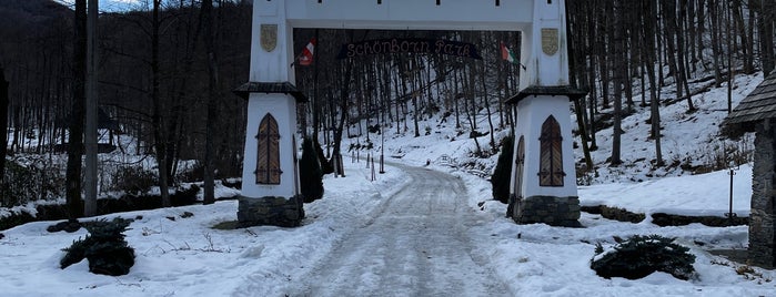 Парк Шенборна / Schönborn Park is one of Закарпатье.