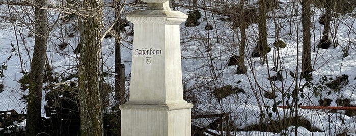 Пам'ятник Лотару Шенборну is one of КУРОРТ ВОЄВОДИНО.