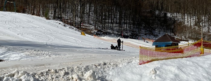 Зимовий прокат Воєводино / Winter rental Voevodyno is one of КУРОРТ ВОЄВОДИНО.