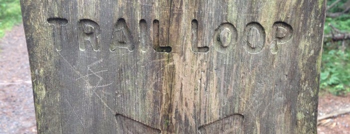 Ship Harbor Trailhead is one of Colin’s Liked Places.