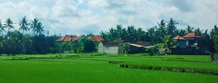Ubud Deli is one of Lugares favoritos de Ibu Widi.
