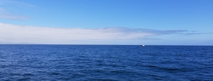 Monterey Bay is one of Tempat yang Disukai Matthew.