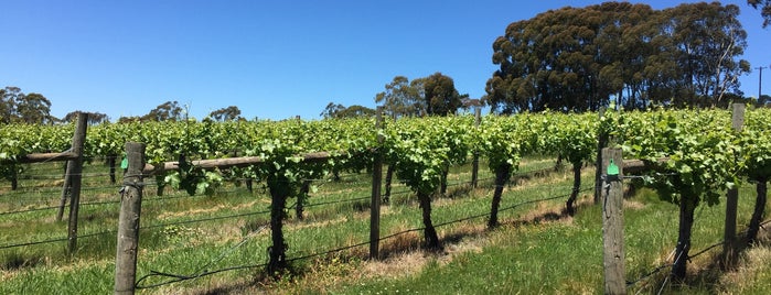 Brangayne of Orange Wine is one of Orange, NSW.