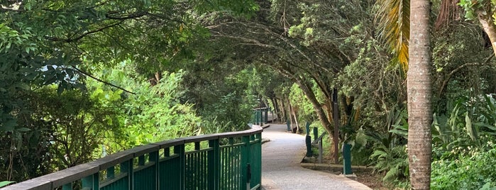 Shuishe lakeside trail is one of Taipei.