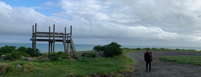 Opunake Beach is one of NZ.