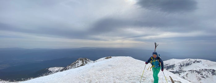 вр. Полежан, 2851м / Polezhan Peak, 9353ft is one of Банско.