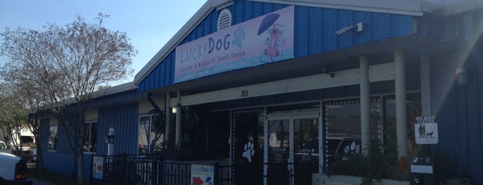 Lucky Dog Daycare is one of สถานที่ที่ Tom ถูกใจ.