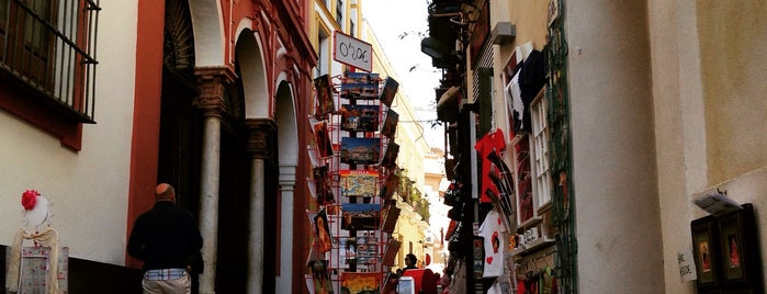 Barrio Santa Cruz is one of Sevilla.