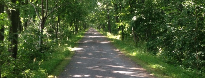 Bartram Trail is one of Hiking.