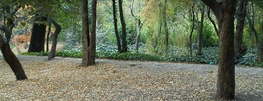 Bosque de Chapultepec is one of Parques para ir con mascotas.