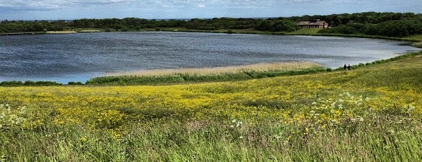 Druridge Bay Country Park is one of Tristan's Saved Places.