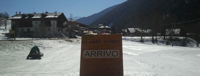 Cogolo pista fondo is one of Winter in Val di Sole.