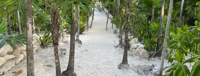 Playa Esperanza Beach Club is one of Tempat yang Disukai Karla.
