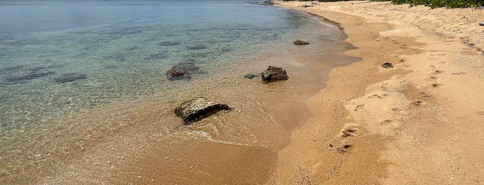 Playa Verde (Green Beach) is one of All-time favorites in Puerto Rico.