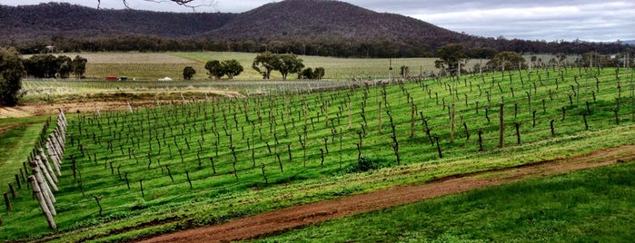 Sanguine Estate Wines is one of Heathcote wine trail.