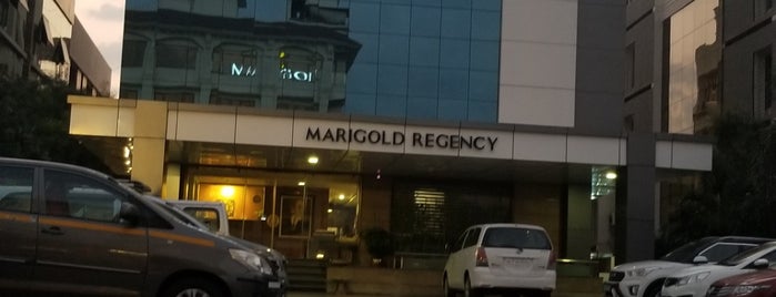 Hotel Marigold Residency is one of Shiridi Hotels.